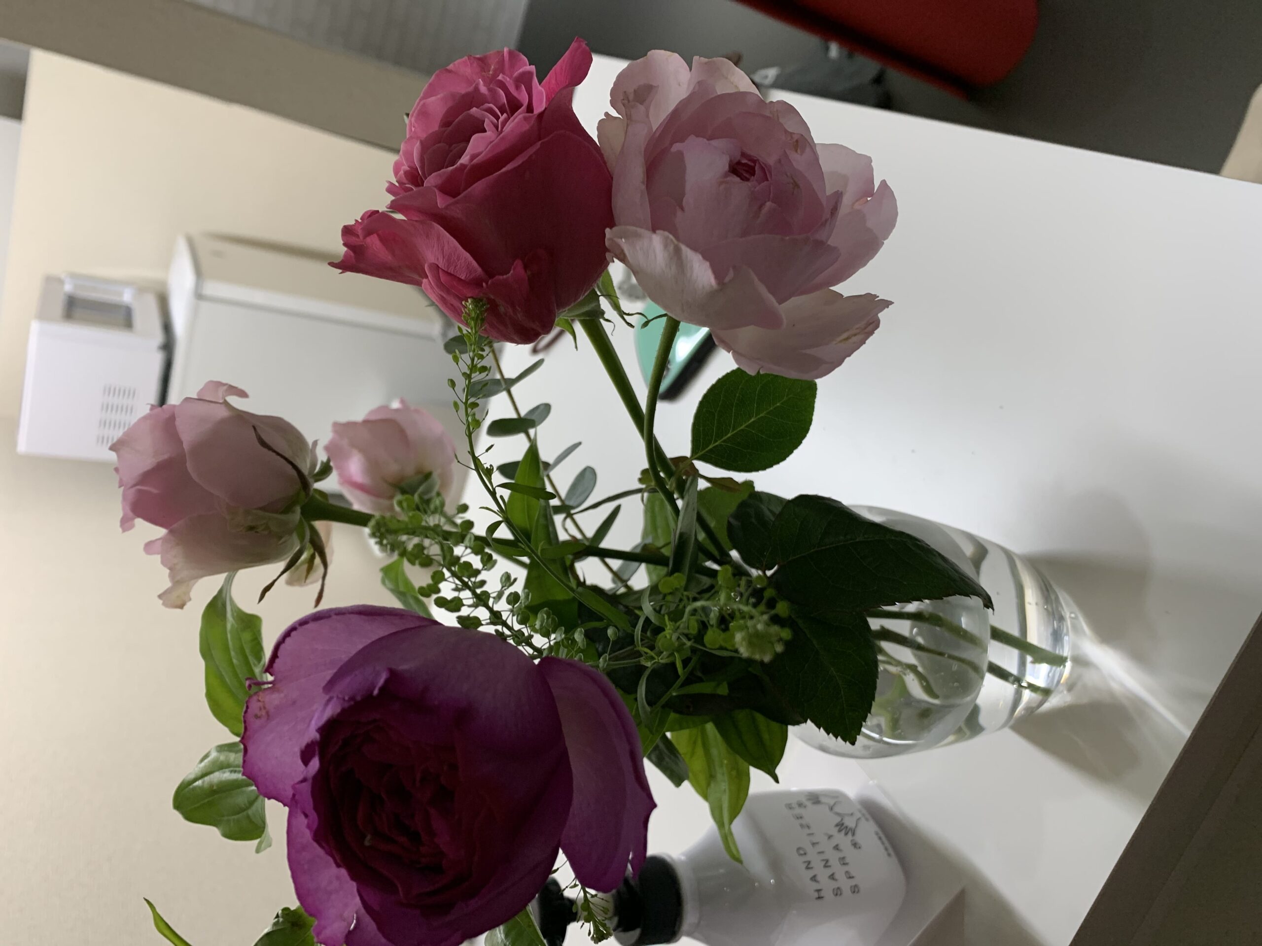 オンラインレッスン配信日