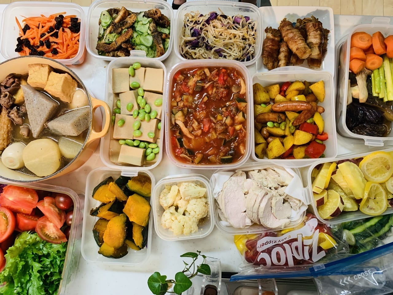 ピラティスにおける安定と固定の違い