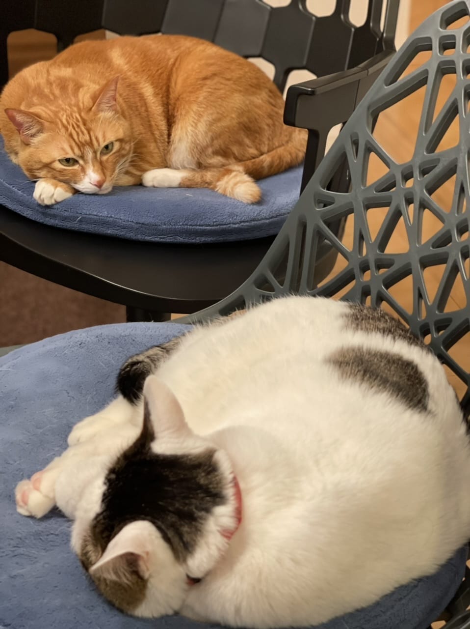 ロールアップができない4つの原因