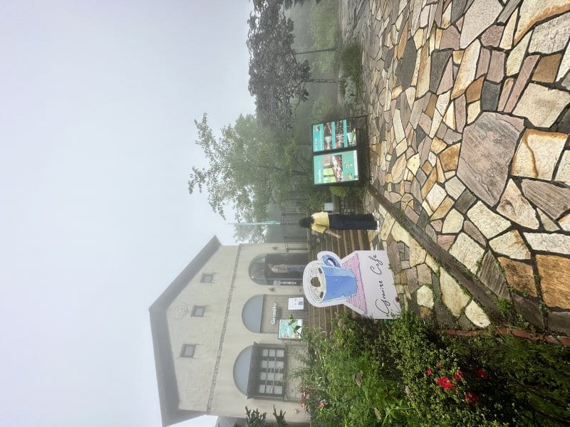 娘の繊細な感性と最良の道探し