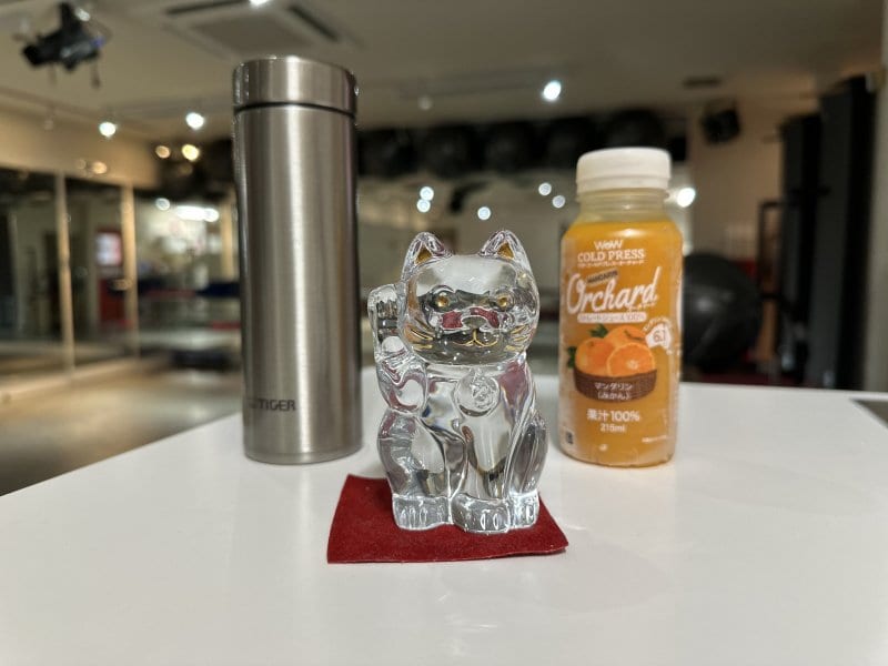 脳内覚醒の2日目とエネルギー消費の確信