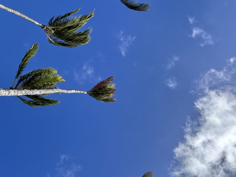 9日間の発熱とハワイでのデトックス